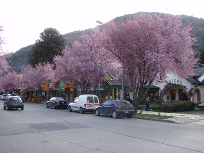 039 Spring in San Martin de Los Andes P9190498.jpg